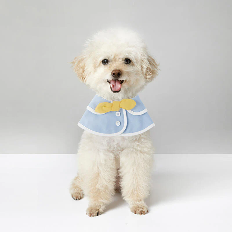 BLUE PET CAPE