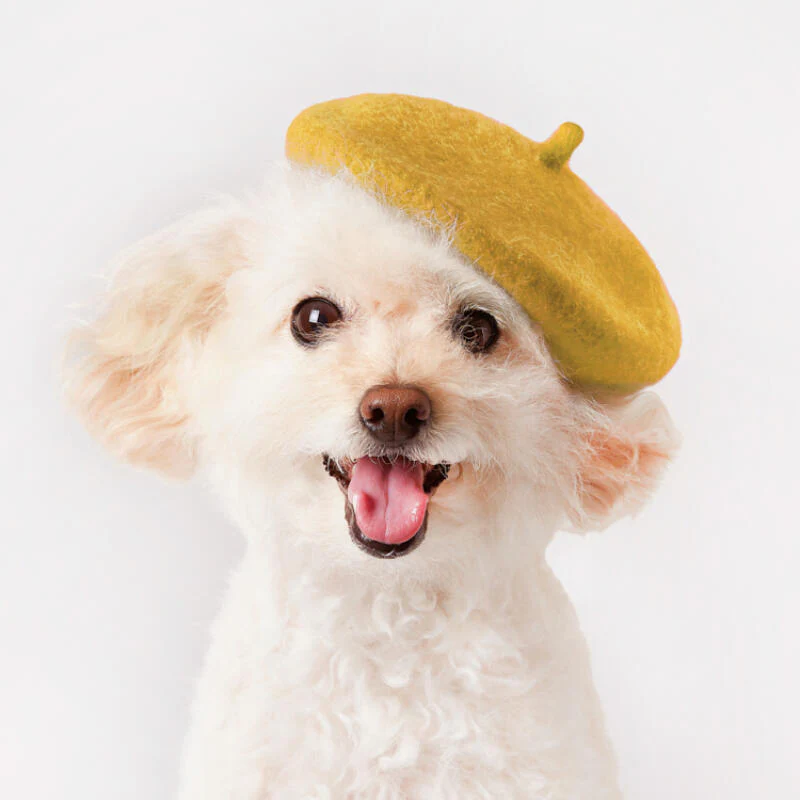 PET BERET YELLOW