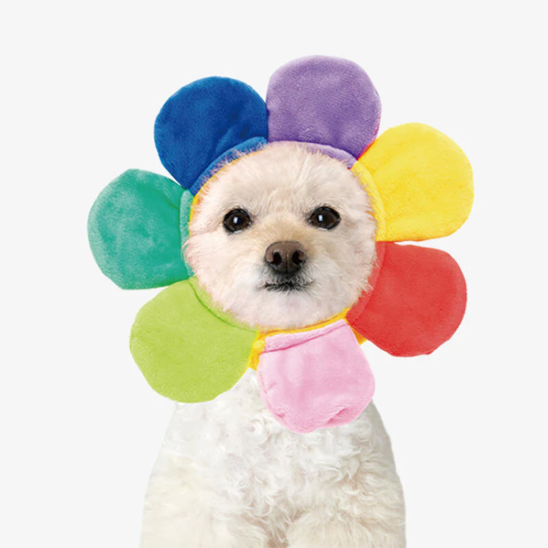 RAINBOW FLOWER PET HAT