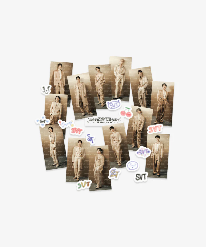 SEVENTEEN - RIGHT HERE WORLD TOUR IN GOYANG OFFICIAL MD STICKER SET