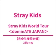 STRAY KIDS - DOMINATE JAPAN STRAY KIDS WORLD TOUR BLU-RAY HMV GIFT LIMITED EDITION