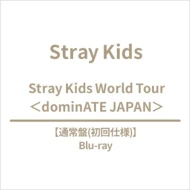 STRAY KIDS - DOMINATE JAPAN STRAY KIDS WORLD TOUR BLU-RAY HMV GIFT STANDARD EDITION