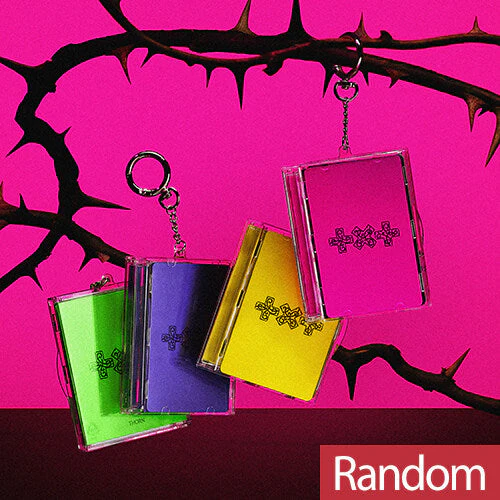 TXT - 7TH YEAR: A MOMENT OF STILLNESS IN THE THORNS 8TH MINI ALBUM ALADIN GIFT PHOTOCARD CASE VER RANDOM